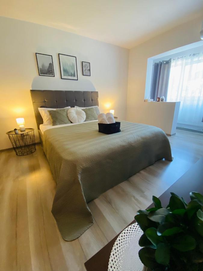 Mara Apartment Băile Herculane المظهر الخارجي الصورة